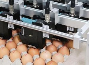 Sojet蛋类高解析喷码机